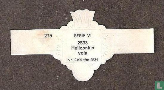 Heliconius vola - Afbeelding 2