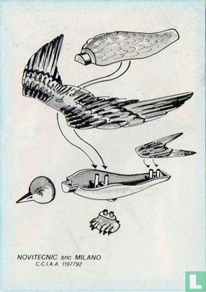 Zwaluw - Afbeelding 2