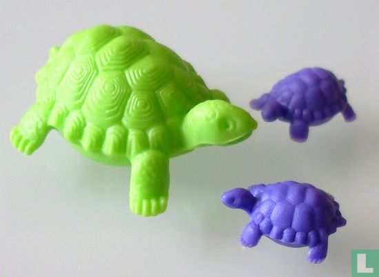 Schildpad met kleintjes