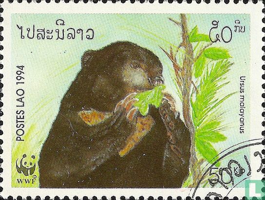 Malaiische Bär