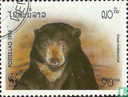 Malaiische Bär