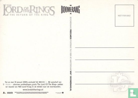 B030256 - Lord of the Rings - Bild 2