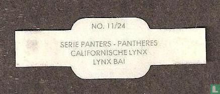 [California lynx] - Image 2