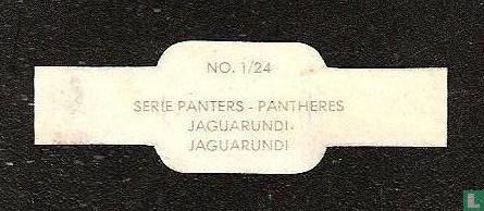 Jaguarundi - Afbeelding 2