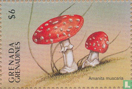 Mushrooms              