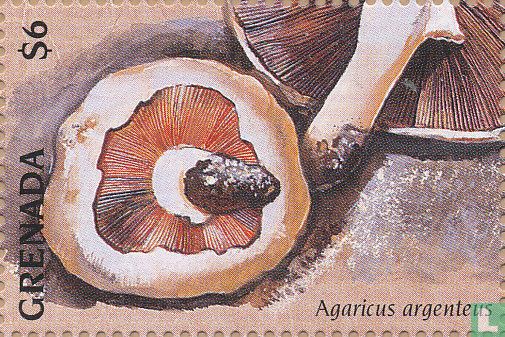 Mushrooms                   