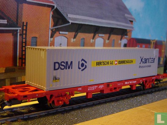 Containerwagen NS "DSM"