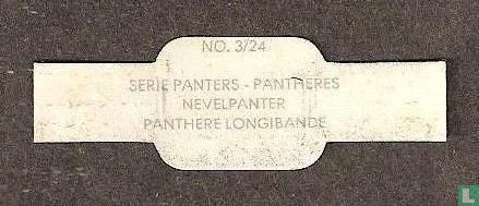 Panthère longibande - Image 2