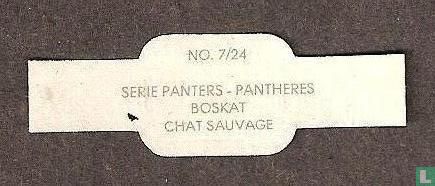 Chat sauvage - Image 2