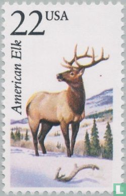Noord-Amerikaanse fauna