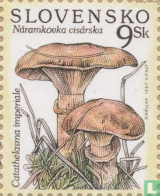 Mushrooms   