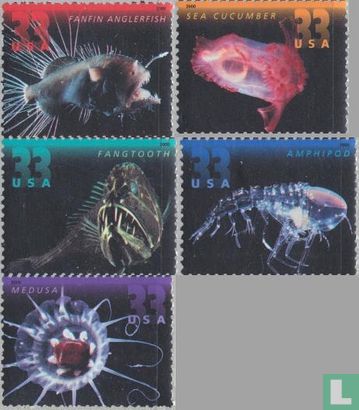 Deep sea Animals 