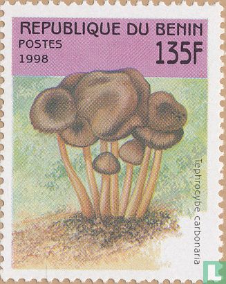 Mushrooms       