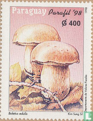 Parafil Mushrooms           