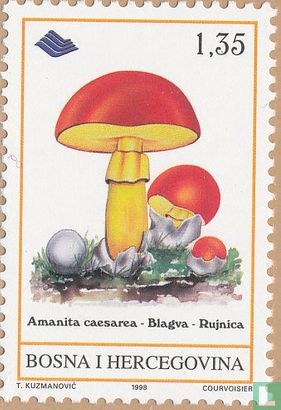 Eetbare paddenstoelen       