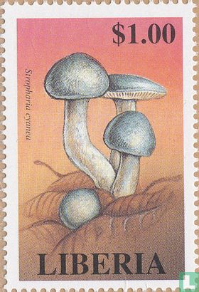 Mushrooms               