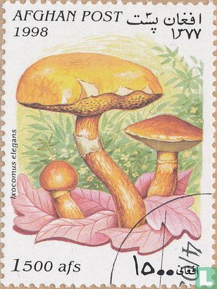 Mushrooms                  