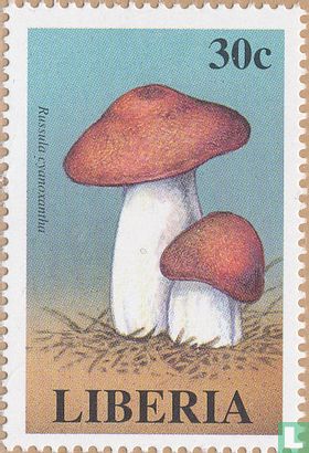 Mushrooms           