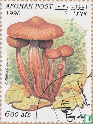 Mushrooms              