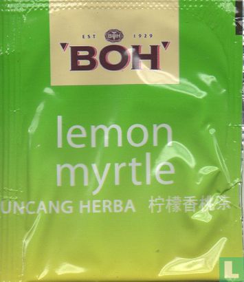 lemon myrtle  - Afbeelding 2