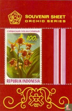 Indonesian Orchids