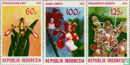 Indonesische Orchideen