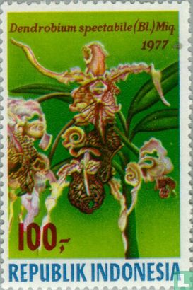 Indonesische orchideeën