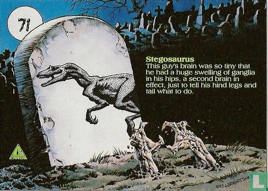 Stegosaurus - Image 2