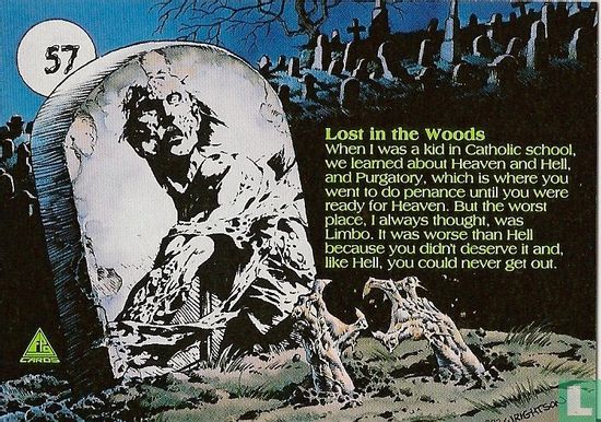Lost in the Woods - Image 2