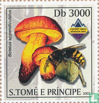 Mushrooms and Wasps     
