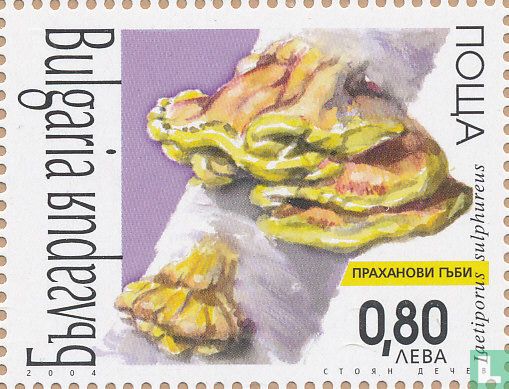 Champignons