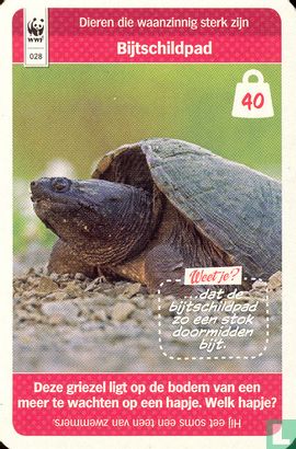 Bijtschildpad - Image 1