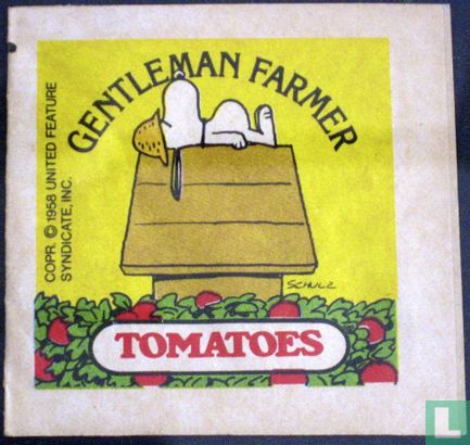 Gentleman farmer tomatoes - Bild 1