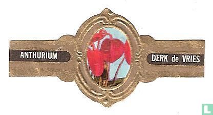 Anthurium - Afbeelding 1