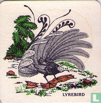  Lyrebird