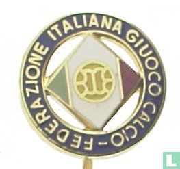 Italian Football Federation (FIGC)