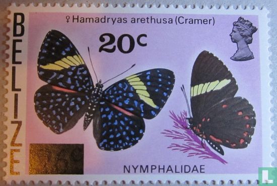 Butterfly with overprint