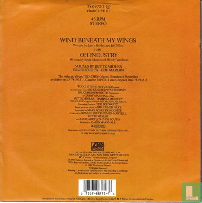 Wind beneath my wings - Image 2