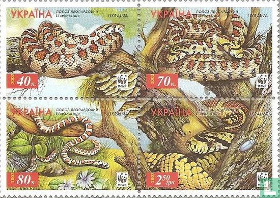 WWF-Maltese Leopard Snake
