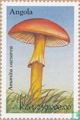 Mushrooms                