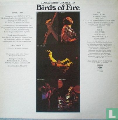 Birds of Fire - Afbeelding 2