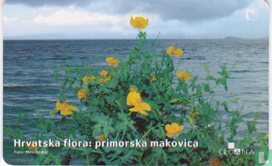 Hrvatska Flora: Primorska Makovica