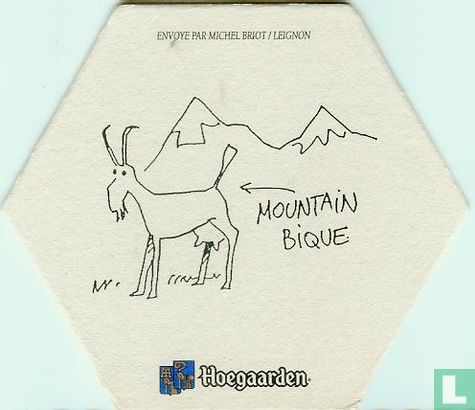Mountain bique