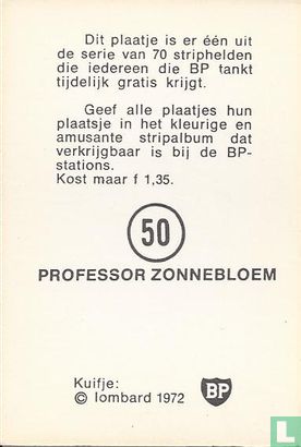 Professor Zonnebloem - Image 2