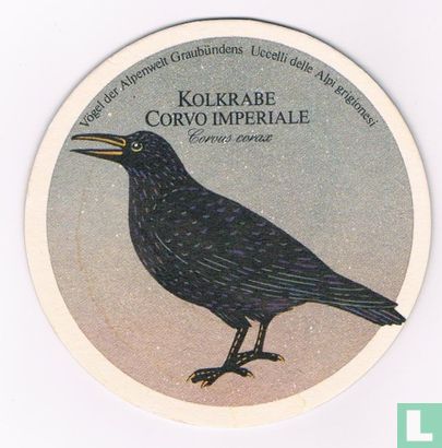 Vogels: Kolkrabe Corvo Imperiale / Edelbräu - Bild 1
