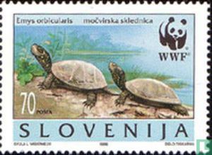 Europese Moerasschildpad