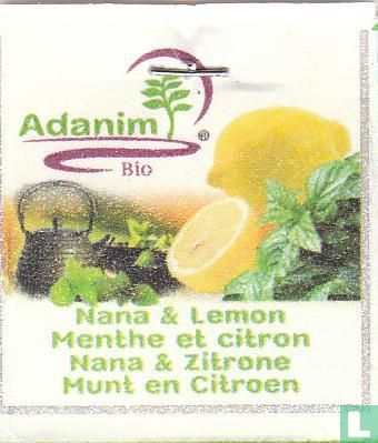 Nana & Lemon - Image 3