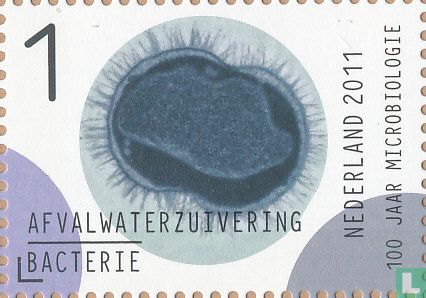 100 jaar Nederlandse Vereniging voor Microbiologie 