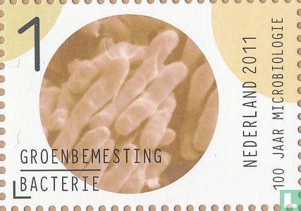 100 jaar Nederlandse Vereniging voor Microbiologie