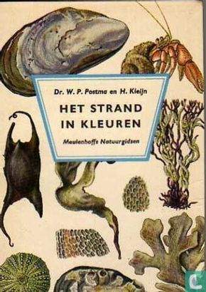 Het strand in kleuren - Bild 1